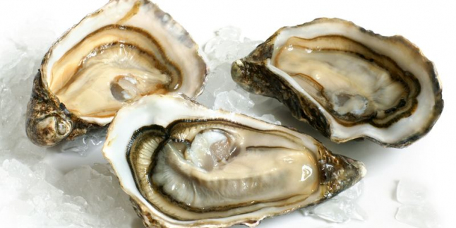 Фото - OysterCoin