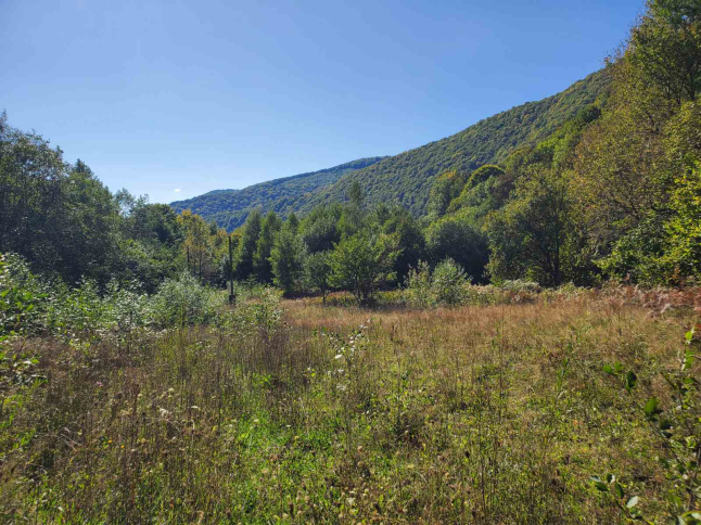 Фото - Шарампово